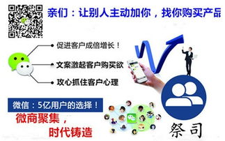 药品策划：网络赚钱新策略，如何领先一步？