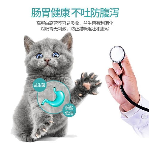 猫咪活力秘密：精选猫粮攻略，解锁宠物快乐生活！