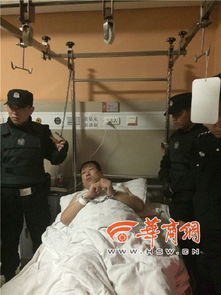 发布打码处理的血腥暴力视频是否违法？网友疑问解答