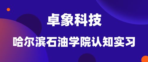 哈尔滨卓象科技实力如何？口碑与服务质量究竟怎样？