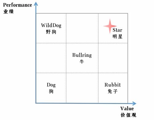 企业核心价值观如何塑造：员工行为准则编写有哪些关键步骤？