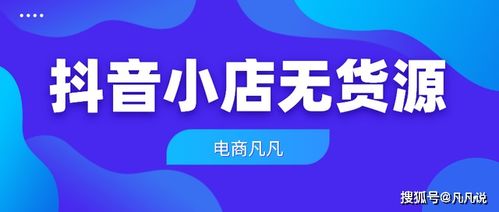 无货源网店运营引流技巧详析：如何高效获取流量与盈利？