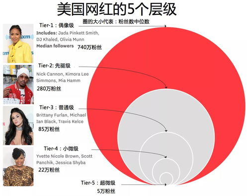 网红公司盈利模式大揭秘：他们究竟是如何实现高额收入的？