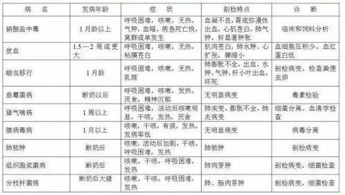 如何区分‘怎么’与‘怎样’的使用差异？详解两者不同之处