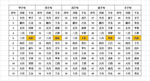 丙氨酸氨基转移酶高、丙寅丙辰丙火丙庚克丙午丙申等术语含义详解