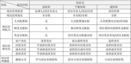 网络项目经理是如何高效推进项目并确保成功的？