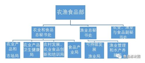 健身房顾问负责哪些工作？他们的日常职责包括哪些具体内容？