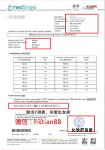 如何快速查找香港上市公司名单？一站式查询攻略大公开！