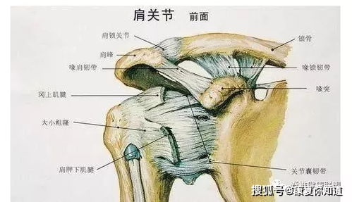 狐臭难题困扰不已？中医治疗能否成为根除狐臭的最佳选择？