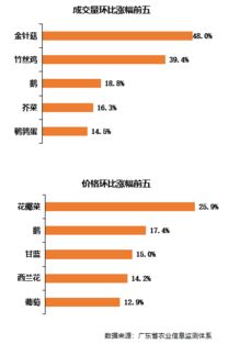 网络项目如何从零起步实现高效盈利？你真的了解吗？