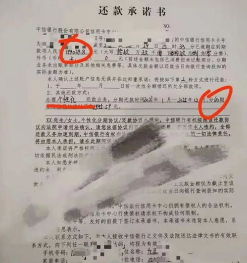 如何独立申请停息挂账？具体步骤和条件是什么？