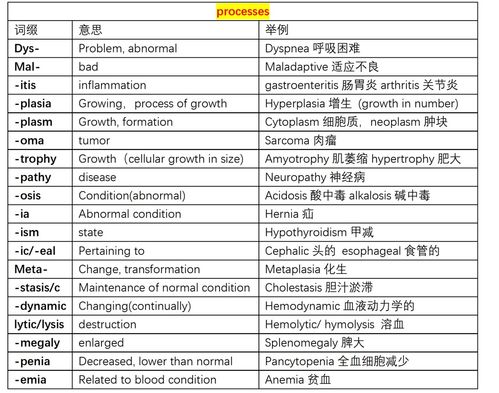 CO在医学中代表什么？解析CO医学术语及其含义