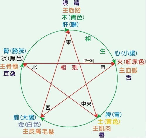 面相中的笔画数与五行属性有何关联？求解面相笔画之谜