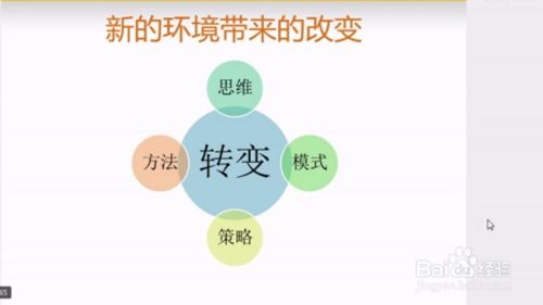 阿普创业指南：新手如何从虚拟项目起步，快速盈利？