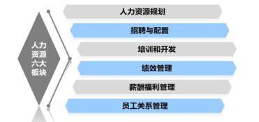 人事专员与人力资源管理专员：具体工作职责有哪些？