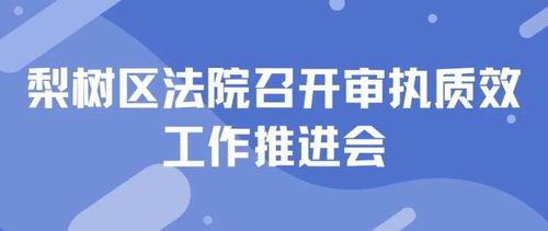 上午仅工作半日，都有哪些任务需完成？