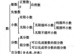 偶数集与整数集谁更广泛？两者基数是否相等？