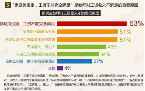 技术调查员如何通过专业调研实现收入增长？