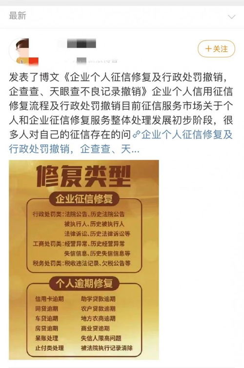 广州猫王公司可靠吗？真实评价及待遇揭秘