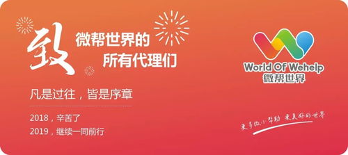 你希望从公司得到什么，你希望从公司得到什么样的帮助？