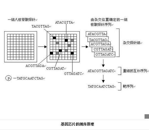 打码工作的原理是什么？如何掌握这一技能？