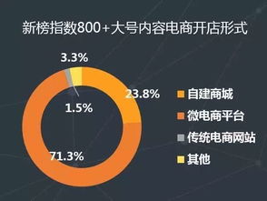 谁主沉浮？国内淘宝天猫系十大电商代运营公司实力较量