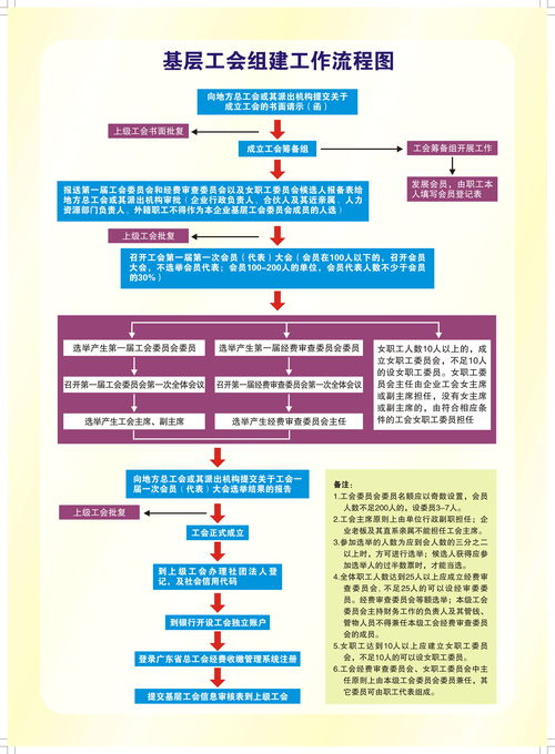 打码兼职的工作流程是怎样的？如何高效完成这类兼职任务？