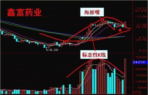 牛股微信群里的秘密：股友们的交流是否藏有投资金矿？