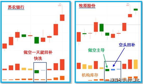 快车司机如何实现高效盈利？快车赚钱途径大解析