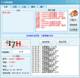 如何同时运行两个打码软件以提高效率？