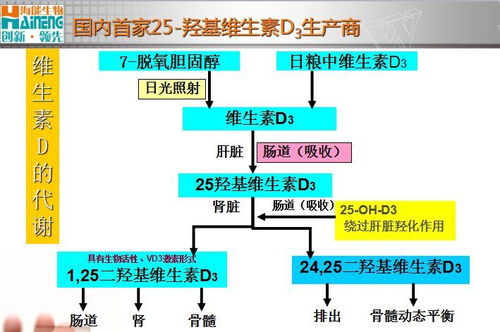 位置模拟定位功能为何不可用？原因揭秘及解决方法探究