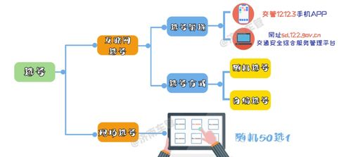 蒲公英4.0版本下载流程与使用指南详解