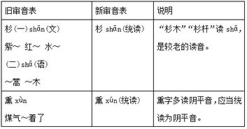 拼音读音背后的奥秘：它究竟传达了什么信息？