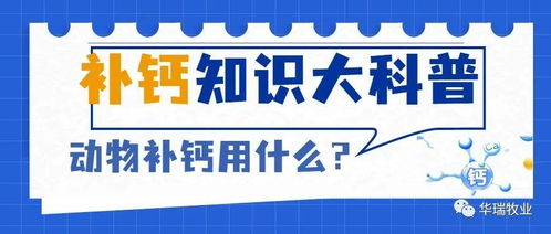 北京贝尔生物公司综合实力过硬吗？选择他们是否放心可靠？