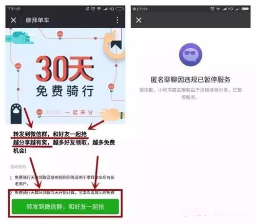 微信公平平台真的存在吗？它如何确保每位用户的权益得到公正对待？