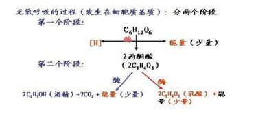 如何成为蛋蛋喷雾的代理商及探讨其作用原理是物理还是化学性质？