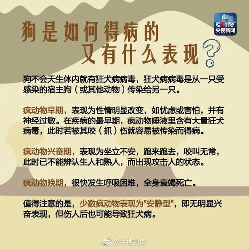 你对啥啥了解多少？知识储备是否充足？