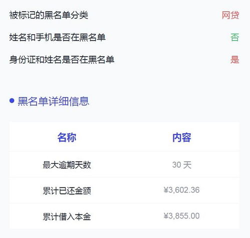 哪些分期网贷产品提供最长60期的还款期限？