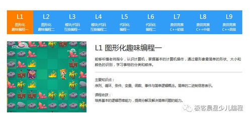 16岁学编程还是设计？技术选择决定未来方向！