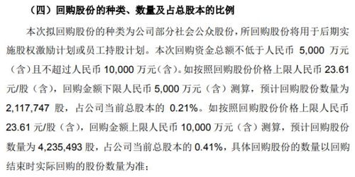 朗新科技股份回购上限2亿元，为何此举引市场关注？