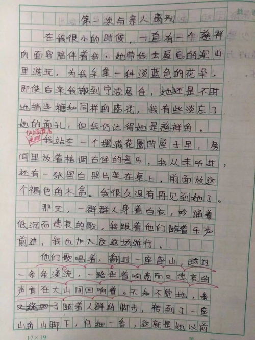 假如我是初一学生，如何写一篇600字的作文？