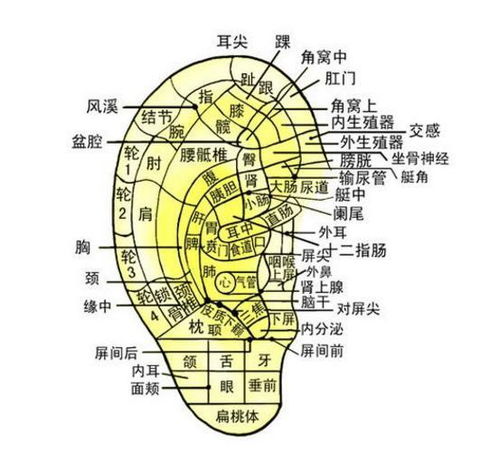 你知道正常耳朵的听力范围是多少米吗？标准听力界限揭秘