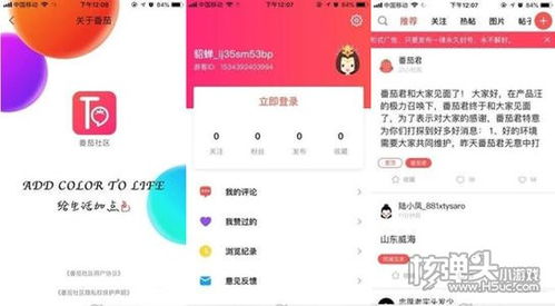 如何在模拟器上安装番茄社区APP？详细步骤是怎样的？