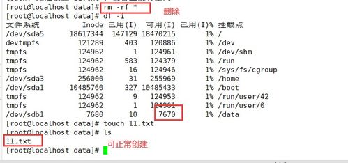 拼音长度有多少奥秘？带你深入了解拼音的长度之谜