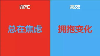 如何高效利用任务接单平台提升收入？你真的会用吗？