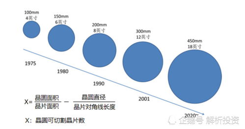 PLP究竟代表什么？从辅酶到兵种，解析PLP的多重含义