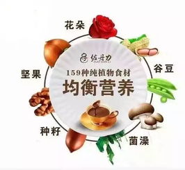 159素食全餐代理销售，这样的全餐真的无副作用，能放心食用吗？