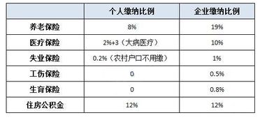 五险缴费基数究竟是什么？其含义又该如何理解？