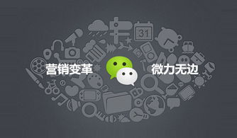 2024年微商如何不花钱快速增加微信好友？有哪些实用的软件可以推荐？