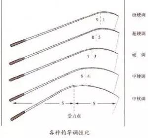 如何挑选一款适合自己的可视锚鱼竿？有哪些关键因素需考虑？